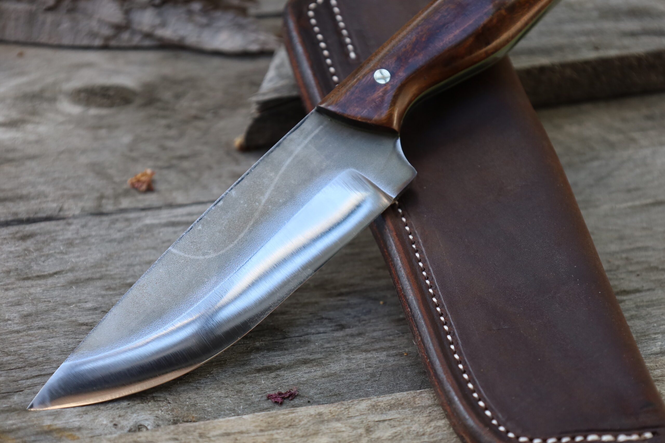 Utility Hunter - Nitro V - Image 3